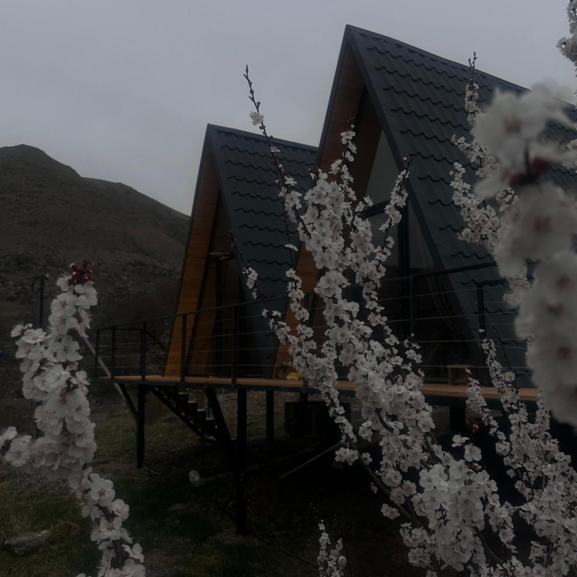 Vardzia Glamping Extérieur photo